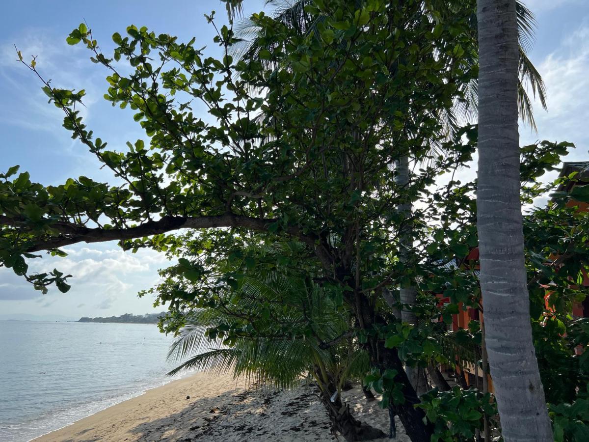 Wish Bungalow Ko Samui Exteriér fotografie